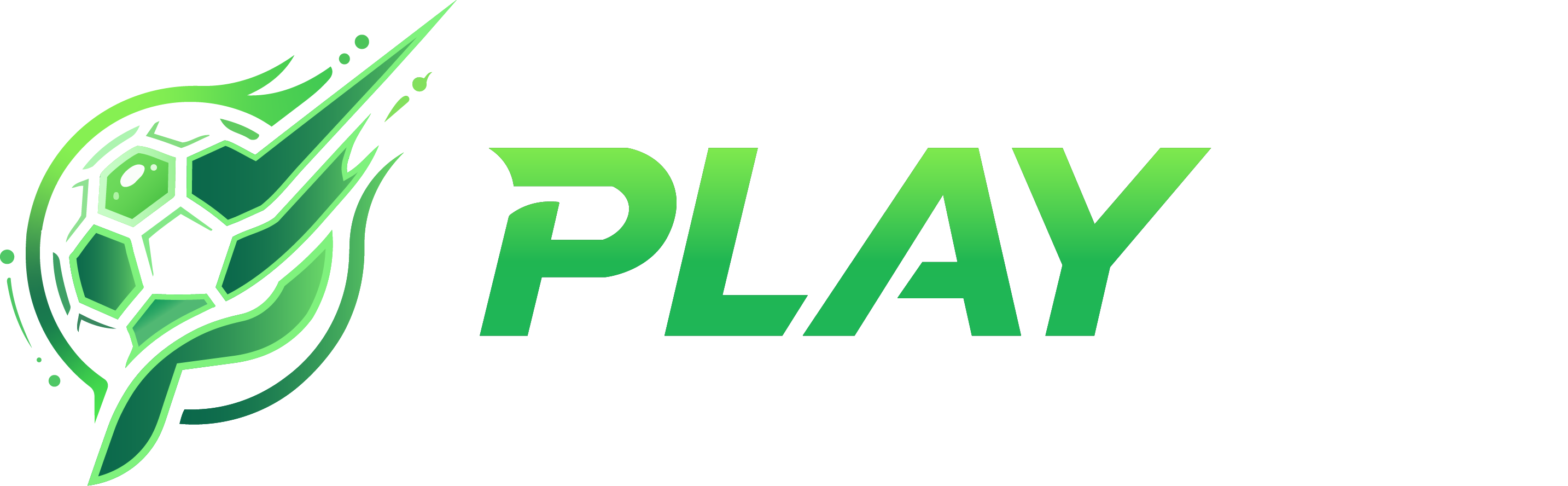 Playra Logo